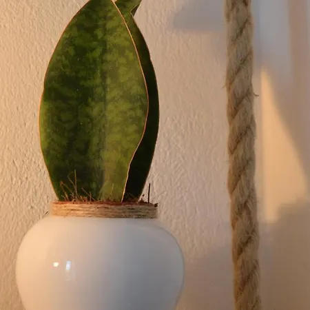 Apart-hotel Eight Senses 3*